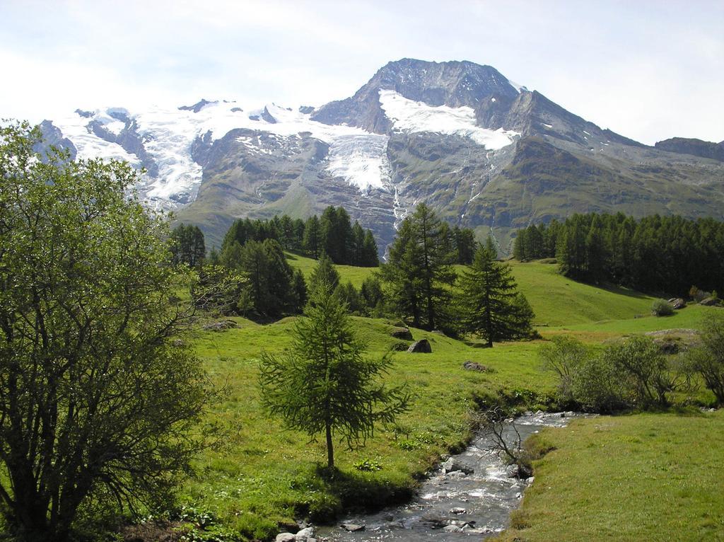 Chalet Bois D'Antan Bed & Breakfast Sainte-Foy-Tarentaise Exterior photo